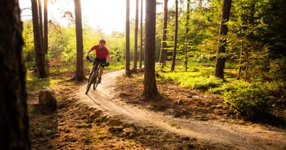 Sober Living Near Goodyear - Outdoor Recreation at the City of Goodyear Parks