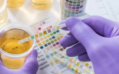 Can You Pass an EtG Test in 48 Hours?
