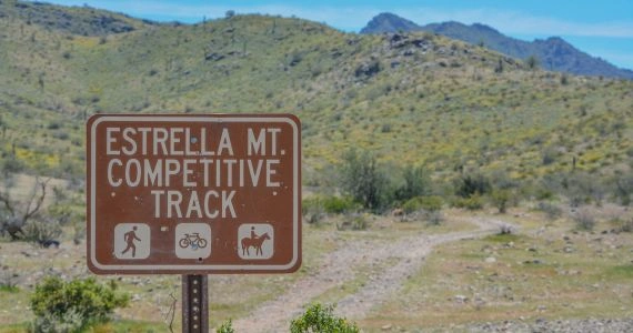 Sober Activities for Residents of Surprise, Arizona