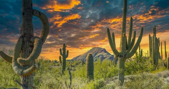 Spur Cross Ranch Conservation Area
