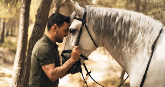Equine Therapy