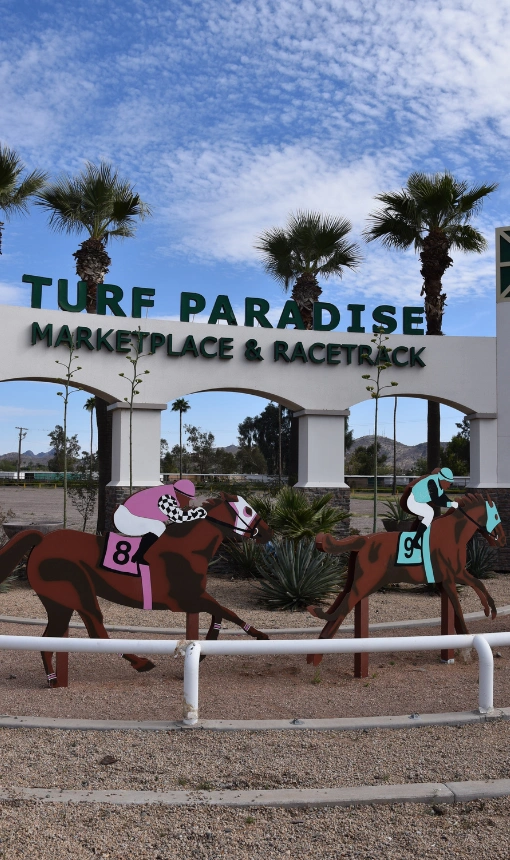 Fun Sober Activities for Intensive Outpatient - Turf Paradise Race Course