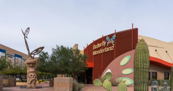 Sober Activities Near Grayhawk